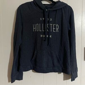 Hollister Y2K Navy Blue Hoodie Sz Lg